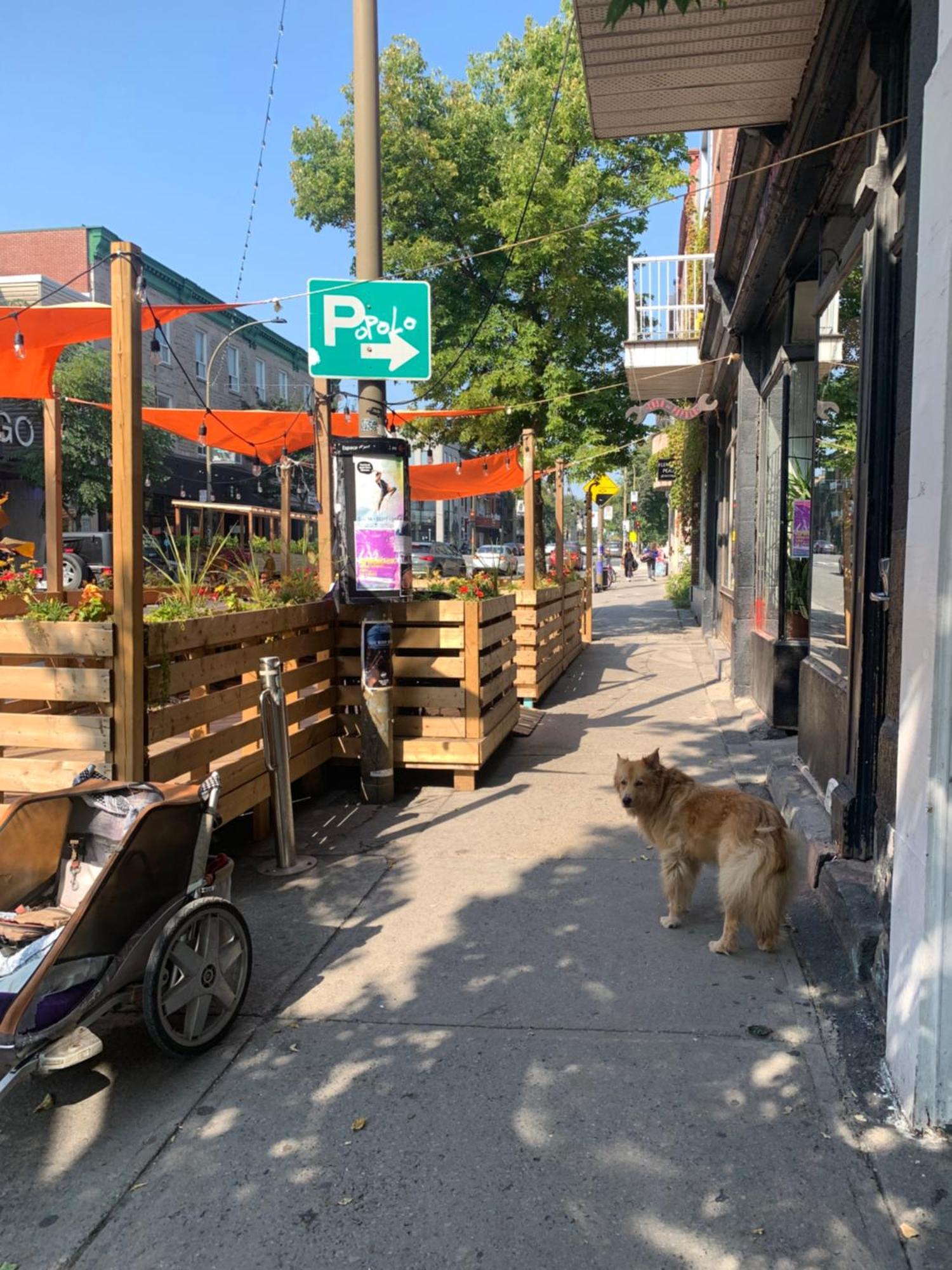 Pensione Popolo Montreal Exteriér fotografie