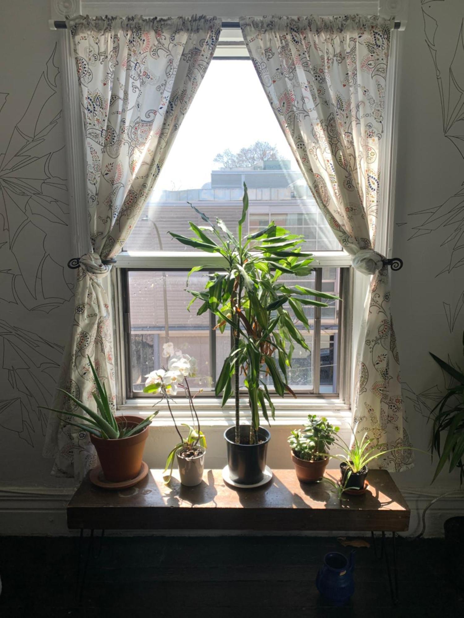 Pensione Popolo Montreal Exteriér fotografie